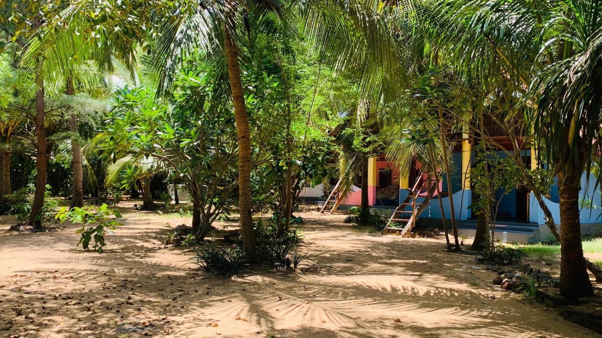Breezy Beach Cabanas Baie d'Arugam Extérieur photo